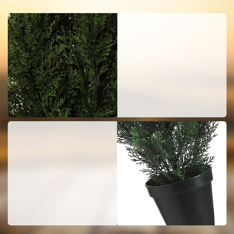 Primrue 36'' Faux Pine Tree in Pot Wayfair Canada